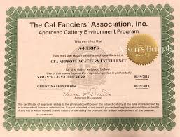 Enfield Council breeding licence certificate LN/202500544