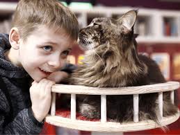 Our family with Maine Coon cats in our Enfield home