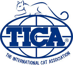 TICA registered cattery